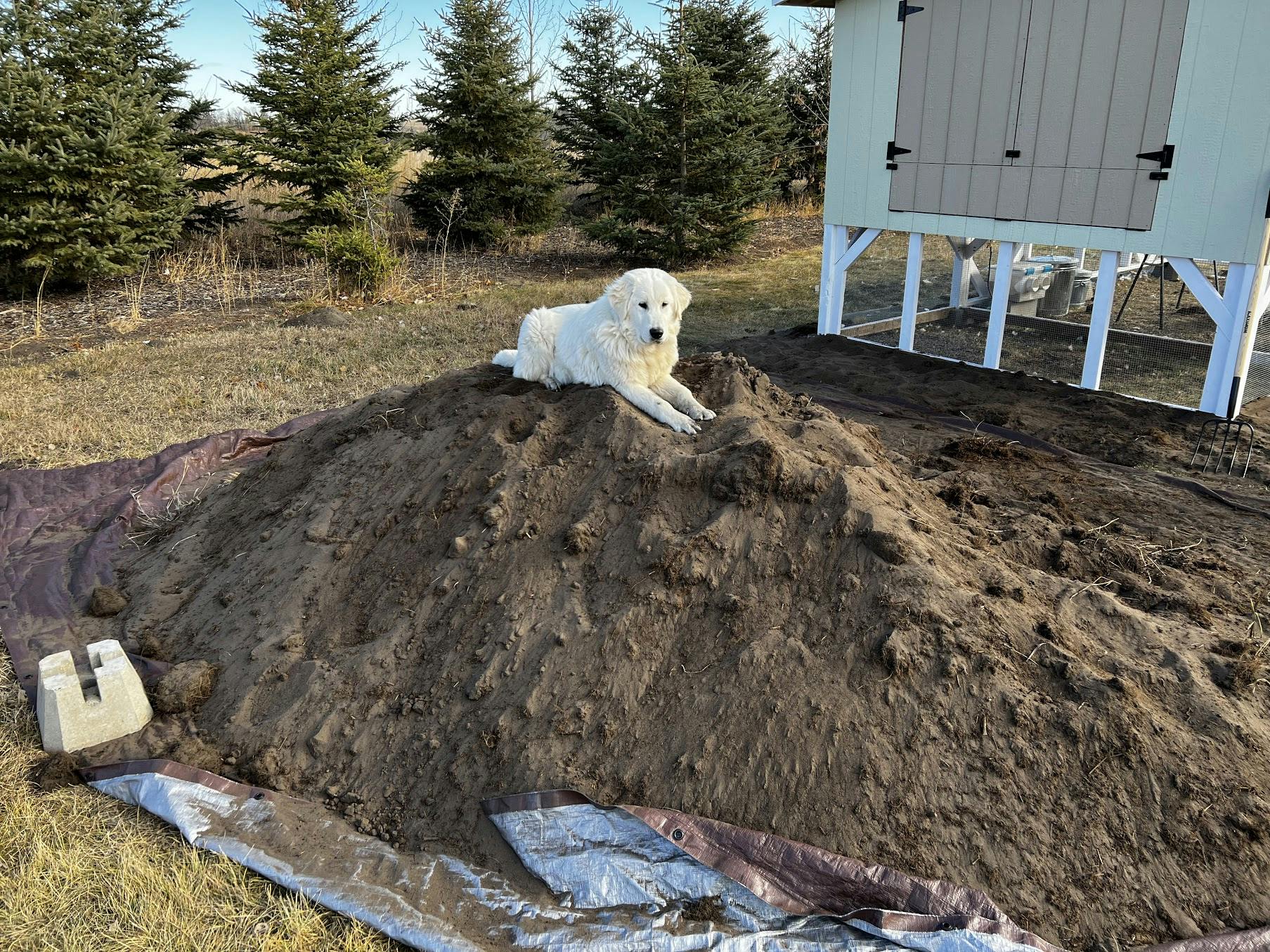 A mount of dirt with a dog standing on top